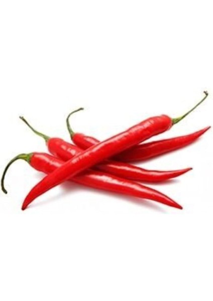 Paket 300 Adet Tohum Ithal Nadir Thailand Çok Acı Biber Tohumu