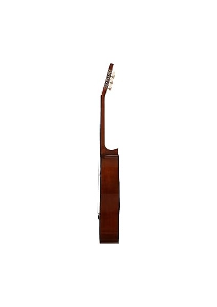 C40 Klasik Gitar modelleri