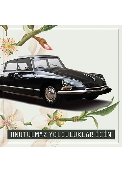 Trio Araba Klima Kokusu - Mango &amp; Kavun Aromalı | Bpa &amp; Sıvı Içermeyen Sağlıklı Oto Kokusu | 45 Gün Etkili | Araç Içi Koku (Mango &amp; Kavun) fırsatları