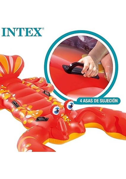 57528 Deniz Yatağı Dev Istakoz, Su Sporları, Plaj Malzemesi, Şişme Ürün, Yüzme Aksesuarı, Kamp, Dalış, Güvenlik modelleri