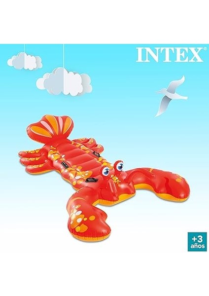 57528 Deniz Yatağı Dev Istakoz, Su Sporları, Plaj Malzemesi, Şişme Ürün, Yüzme Aksesuarı, Kamp, Dalış, Güvenlik indirimleri