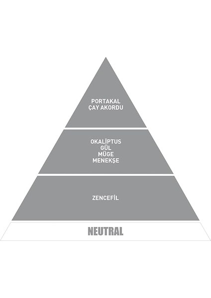 Araba Klima Kokusu - Oto Kokusu, Profesyonel Otomobil Kokusu, Araç Parfümü (Neutral) modelleri