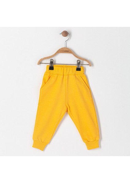 Ikili Takım modelleri