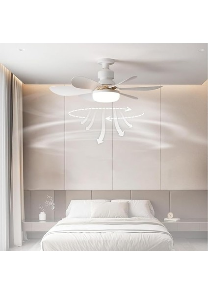 Vantilatörü Aydınlatmalı, 40W E26/27 LED Fan Lambası Büyük Uzaktan Kumandalı ve Ekstensor, Kısılabilir, 3 Rüzgar Hızı, Yeni 52CM Tavan Vantilatör Zamanlayıcı modelleri
