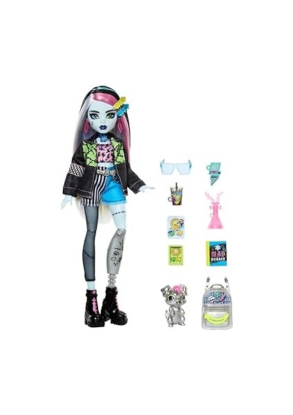 High Acayip Havalı Arkadaşlar - Frankie Stein, 3y+, HXH73 fırsatları