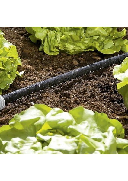 Hortum, Standart, 15 M modelleri