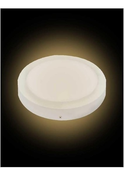 Adet 12W 3000K Günışığı Işık Sıva Üstü Smd Yuvarlak LED Panel KDL421 fiyatları