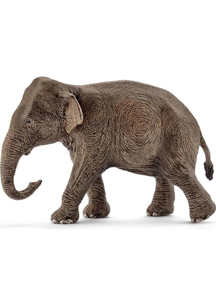 Dişi Asya Fili, Oyuncak Figür