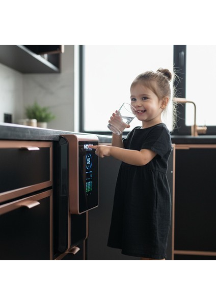 Alkali Iyonizer Su Arıtma Cihazı