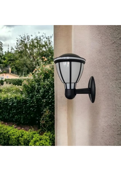 Zita Kupa Bahçe Duvar Aplik Aydınlatma E27 Duy Siyah / 231