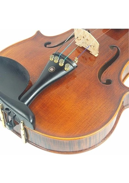 PHB-1004 Keman 3/4 Kutulu Ön Ladin Arka ve Yanlar Akçaağaç fırsatları