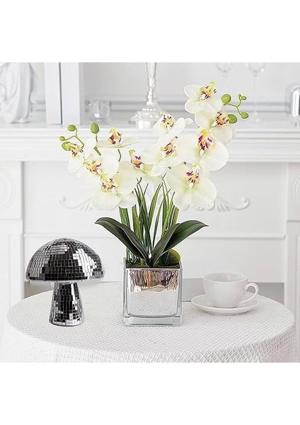 Mantar Disko Küresi, Gümüş Disko Aynası, Top, Parıltılı Ayna, Küre, Parlak Mantar Küre, Ev Dekorasyonu, Sahne Aksesuarları, Dj Işık Efekti, Okul Kutlaması, Parti Ürünü, Oyun Aksesuarı, Masa fırsatları