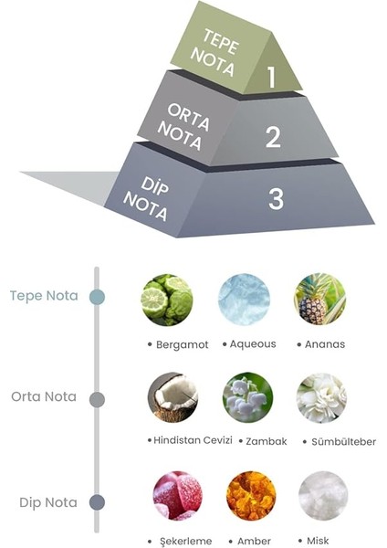 Bambu Çubuklu Oda Kokusu Coco Sun 100ML modelleri