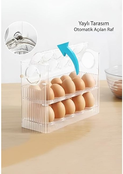 Katlı Yumurtalık Buzdolabı Organizeri Saklama Kabı 30 Bölmeli Raflı Yumurta Kutusu Düzenleyici (1, Beyaz) indirimleri
