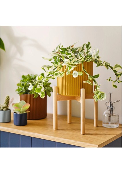 Daksjus Çiçeklik Bambu 21 cm modelleri