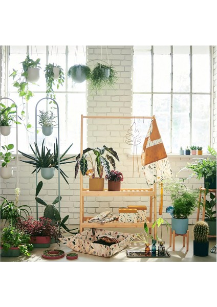 Daksjus Çiçeklik Bambu 21 cm