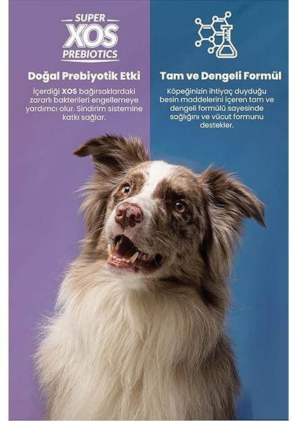 Plus ml Kısırlaştırılmış Yetişkin Köpek Maması 15 kg modelleri