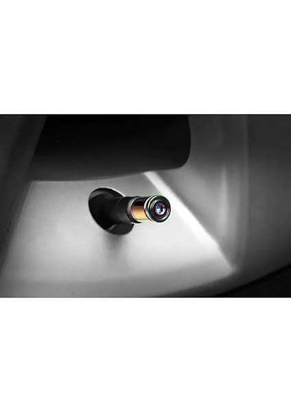 Gümüş Otomobil Araba Motosiklet 4'lü Sibop Kapak Seti (Renkli) indirimleri