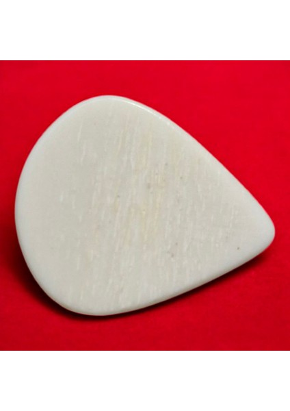 Pena Kemik modelleri