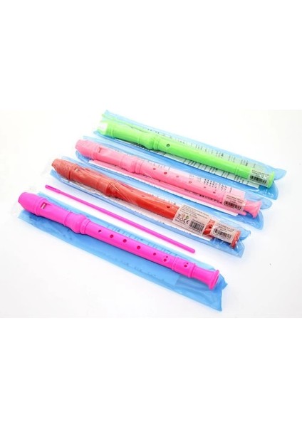 Renkli Plastik Flüt