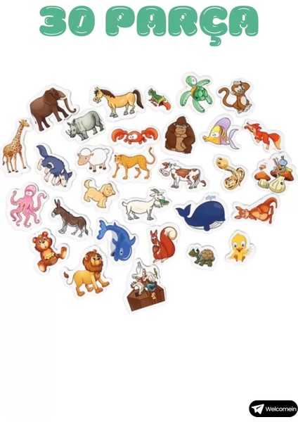 Manyetik Hayvanlar Seti – Çocuklar Için Eğitici Mıknatıslı Oyuncak modelleri