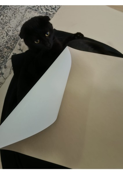 Krome Karton 50X70 Ebatında 350 Gram 10 Adet 1,225 kg | Kağıt ve Baskı Kartonu indirimleri