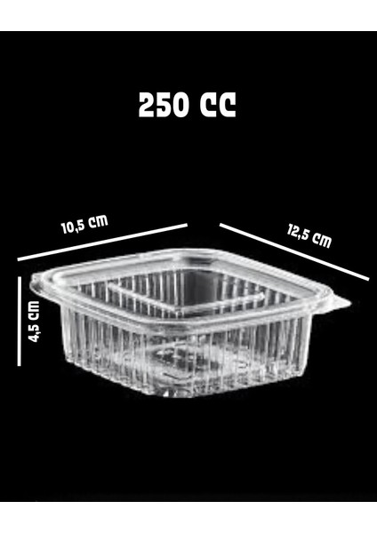 Sızdırmaz Düz Kapaklı Şeffaf Plastik Kap – 250 cc Kapasiteli, 25 Adet, Gıda Saklama ve Servis Kabı modelleri