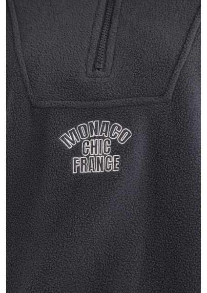 Oversize Geniş Kalıp Dik Yaka Fermuarlı Baskılı Polar Sweatshirt Y2649AZ25WN indirimleri