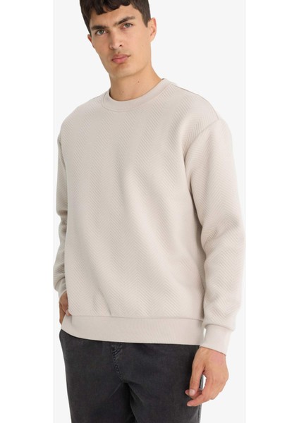 Relax Fit Bisiklet Yaka Sweatshirt E9536AX25AU