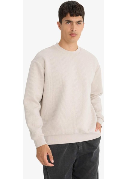 Relax Fit Bisiklet Yaka Sweatshirt E9536AX25AU modelleri