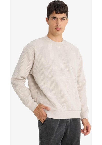 Relax Fit Bisiklet Yaka Sweatshirt E9536AX25AU fırsatları