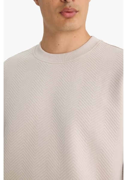 Relax Fit Bisiklet Yaka Sweatshirt E9536AX25AU indirimleri