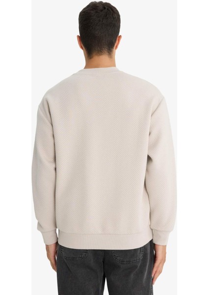 Relax Fit Bisiklet Yaka Sweatshirt E9536AX25AU