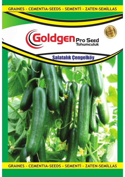 Goldgen Çengelköy Salatalık Tohumu