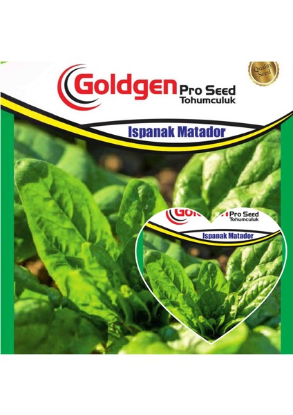 Goldgen Ispanak Tohumu
