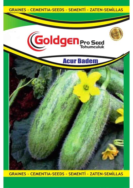 Goldgen Badem Acur Tohumu