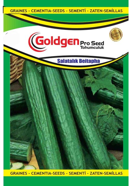 Goldgen Beitepha Salatalık Tohumu