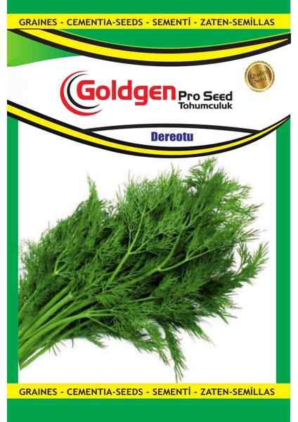 Goldgen Dereotu Tohumu