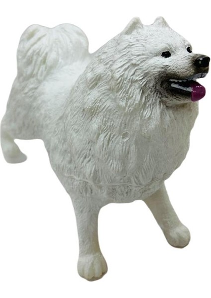 Soft Köpekler - Samoyed Cinsi Köpek - E013 (Lisinya)