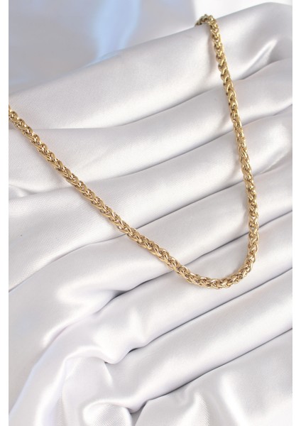 316L Çelik Gold Renk Burgu Zincir Model Kadın Kolye - Lisinya fiyatları