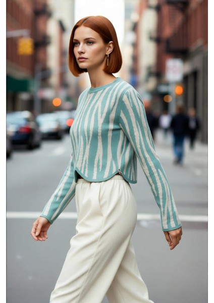 Kadın Günlük Akrilik Basic Siluet Bisiklet Yaka Uzun Kollu Crop Kesim Zebra Desenli Triko Kazak fırsatları