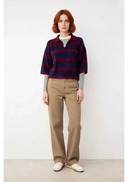 Kadın Regular Kalıp Çizgili Polo Yaka Triko Kazak Ilkbahar Sonbahar Için Ideal Basic Tasarım fiyatları