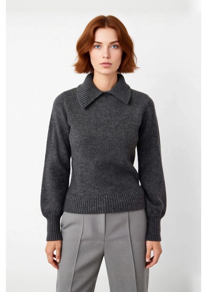 Kadın Kalın Triko Kazak Polo Yaka Taş Işlemeli Regular Kalıplı Soğuk Havalar Için Şık Seçim fiyatları