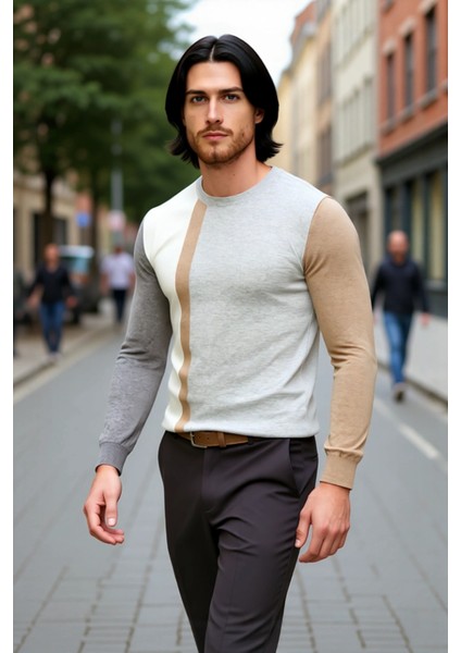 Erkekler Için Casual Günlük Giyim Bisiklet Yaka Renk Bloklu Fitted Kalıp Uzun Kollu Kazak Kaliteli fırsatları