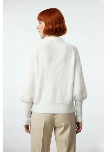 Kadın Regular Kalıp Saç Örgü Desen Dik Yaka Balon Kol Triko Kazak Günlük Şıklık Sunar Kışa Özel fırsatları