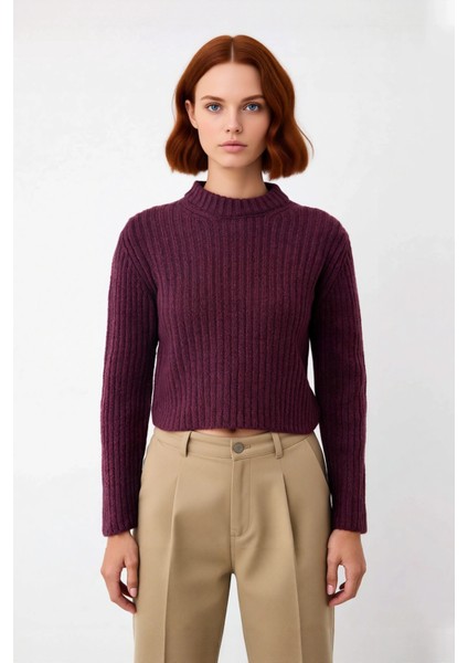 Kadın Regular Fit Crop Fitilli Bisiklet Yaka Uzun Kollu Orta Kalın Triko Kazak Kışlık Kombinlerin fiyatları