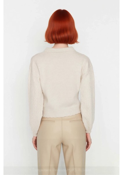 Kadın Regular Kalıp Akrilik Polo Yaka Saç Örgü Desenli Yumuşak Dokulu Triko Kazak Uzun Düşük Kol fırsatları