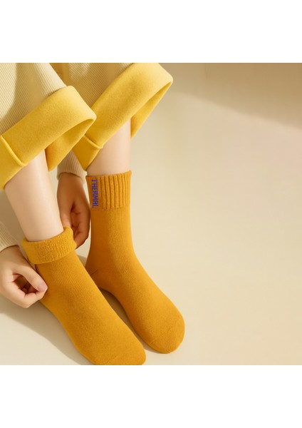 Termal Özellikli Bambu 2x Korumalı (3 Çift) Kadın Soft Renkli Kışlık Havlu Soket Çorap