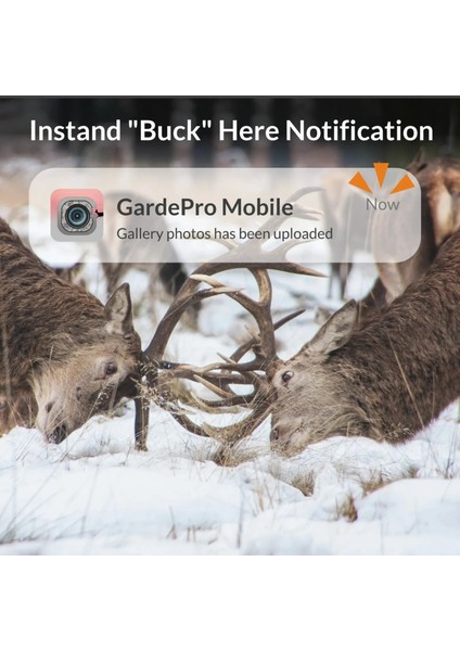 X60P 48 Mp Gsm Destekli Fotokapan indirimleri