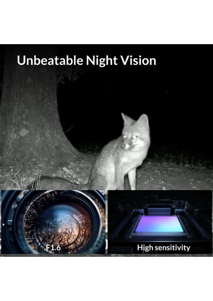 X60P 48 Mp Gsm Destekli Fotokapan